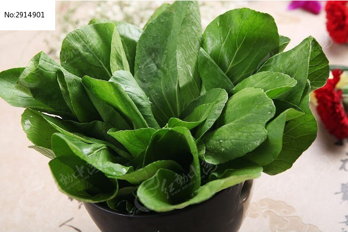 �Ϻ�С���ͼƬ