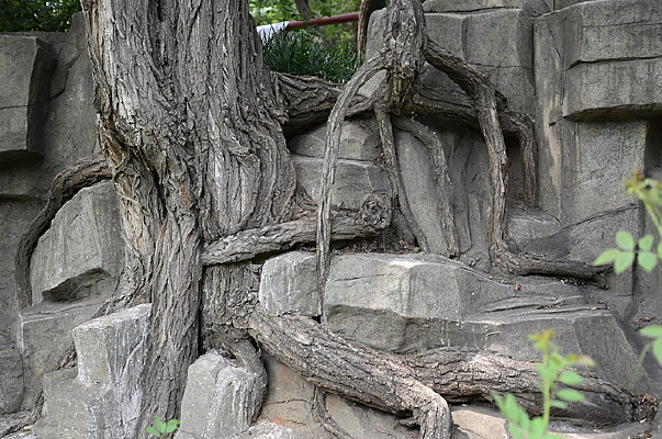 �̸�����