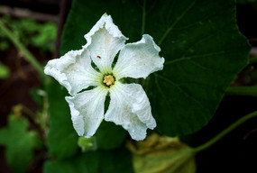 ���׻��Ĺ�