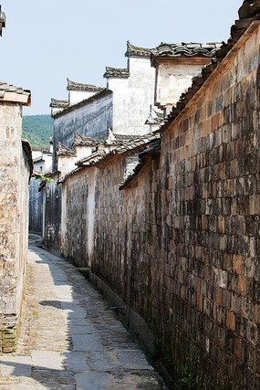 ���Ϲ���