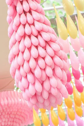 �ۺ�ɫ������