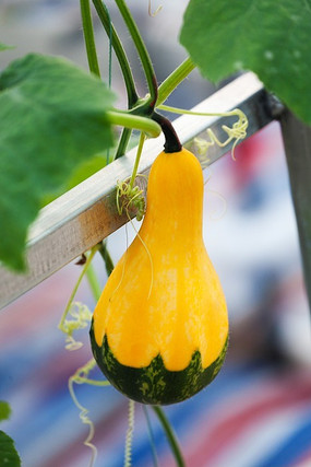 �����Ϲ�