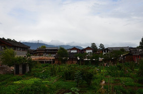 ������԰