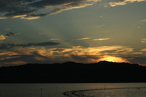 ϼ������