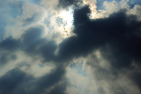 �����Ʋ�