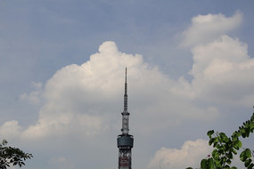 Ư��������