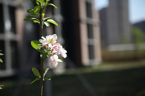 ������÷