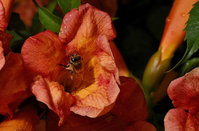 �����е��۷�