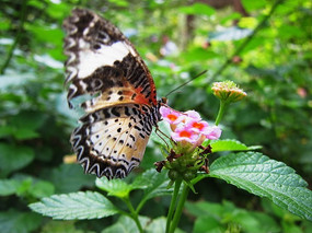 �����˻�