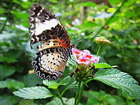 �����˻�