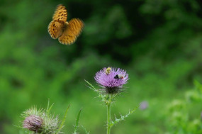 �����۷�ͻ���