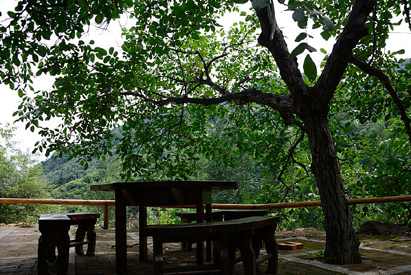 �����µ�¹