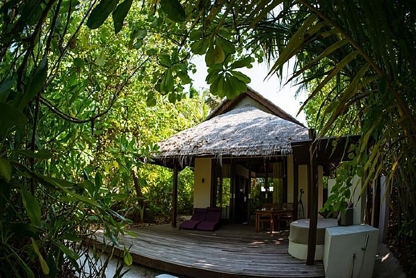 �����б���