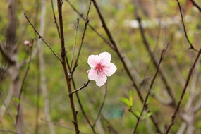 �һ�����