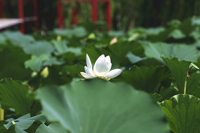 С�ɲ�¶���ǰ׺�