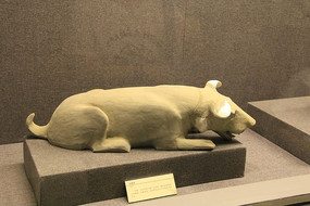 һֻ���ĵ���