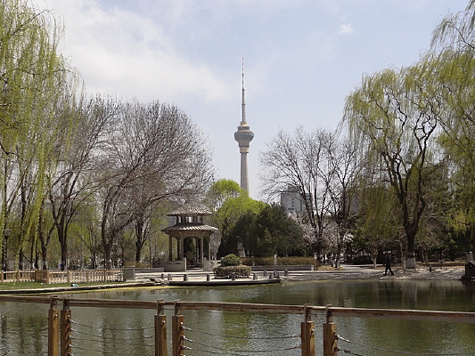 �������������