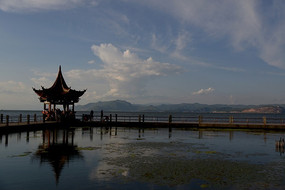 ������ͤ