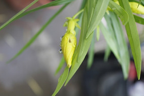 �������ŵ��һ�ͼ