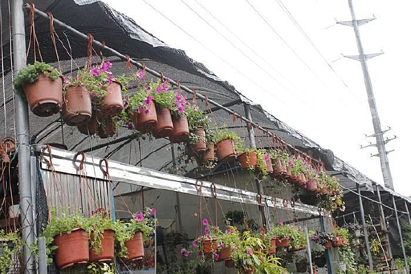 ��������ͼ