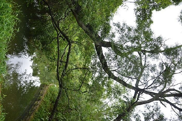 �����ϵ���