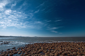 ��̲����