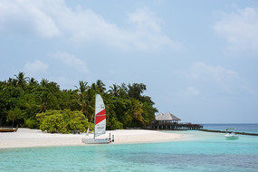 ǳ������