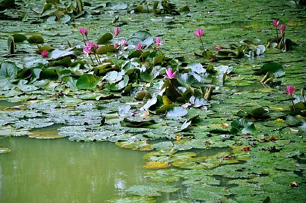 ˯������