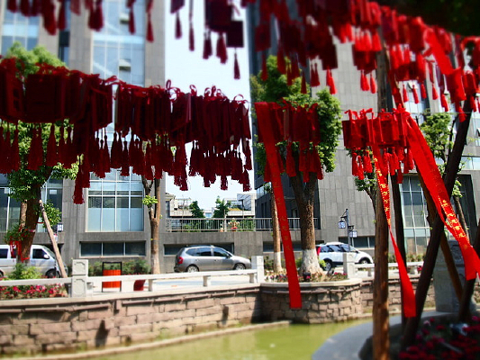 Ʈ����˿��