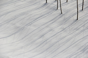 ����Ӱ��