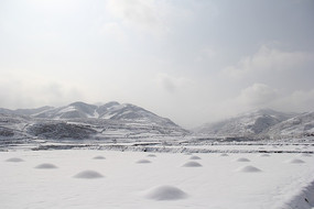 ѩ������