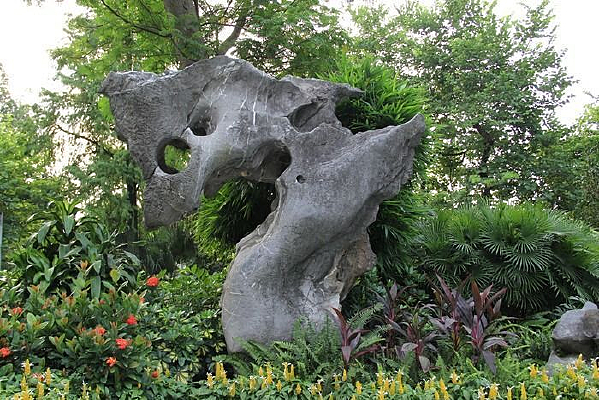 ʯͷ�µĻ���