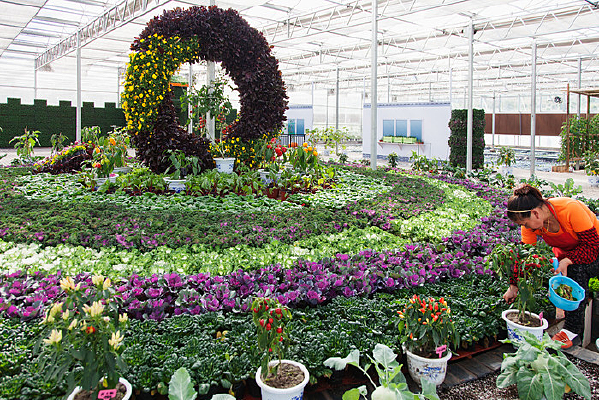 �û���ɵĻ�