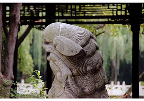 ͷ������