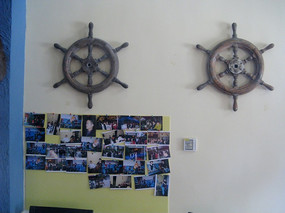 ��������