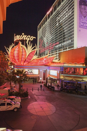 ��˹ά��˹ҹ���־�