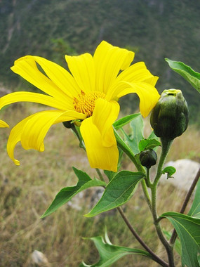 ·�߾�·��С��