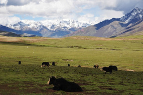 ������Ϣ