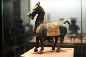 ����ľ��