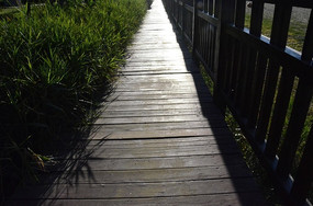 Ϧ���º��ߵ�ľ��·