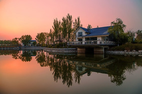 ������Ӱ