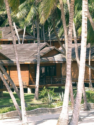 ľ�ﳤ����