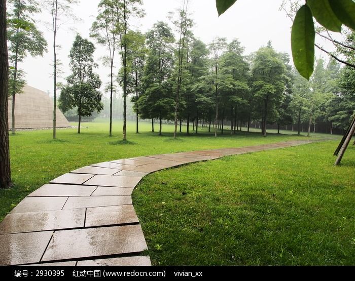 雨中草地里的路