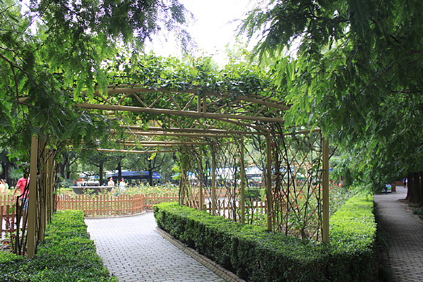 �Ϻ�ֲ��԰����