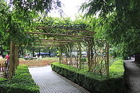 �Ϻ�ֲ��԰����