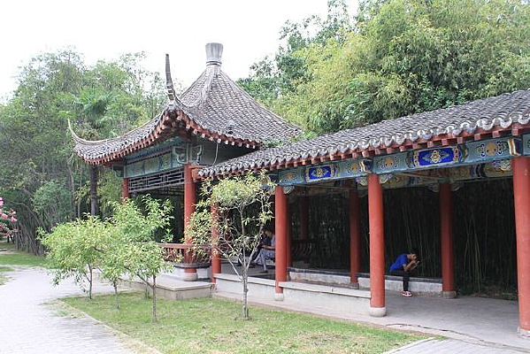 ������԰