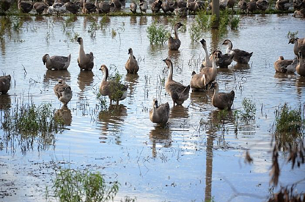 �������