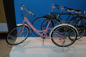 ��ɫ���г�