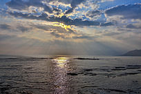 �����Ʋ�