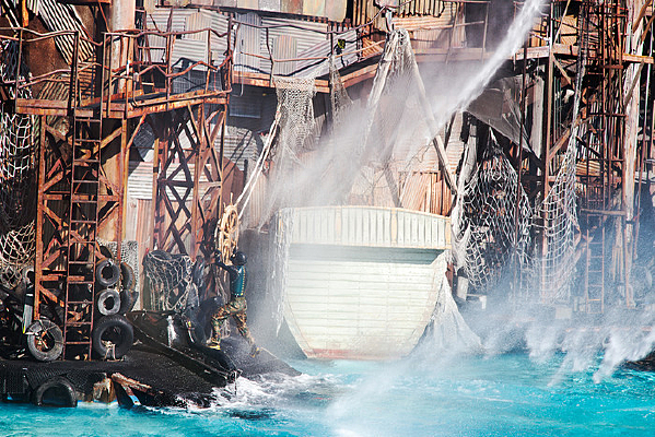 ��ɼ��������ߵ�